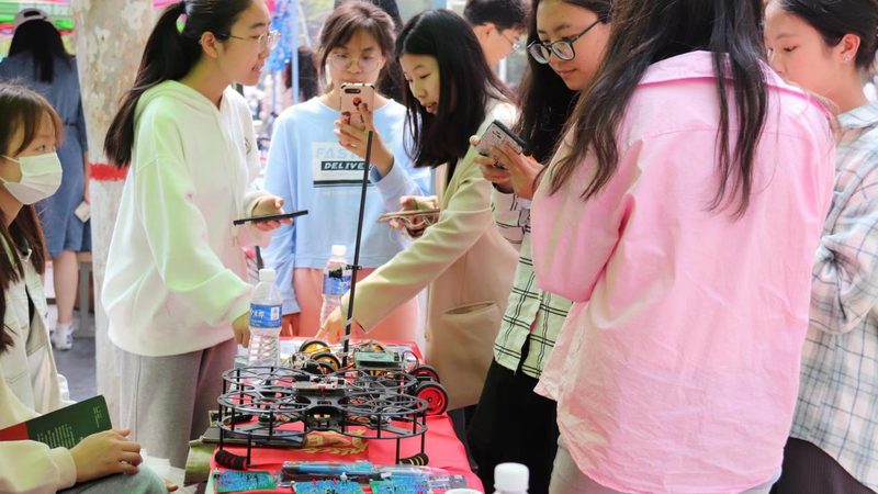 动态图表模板：如何选择合适的免费下载资源